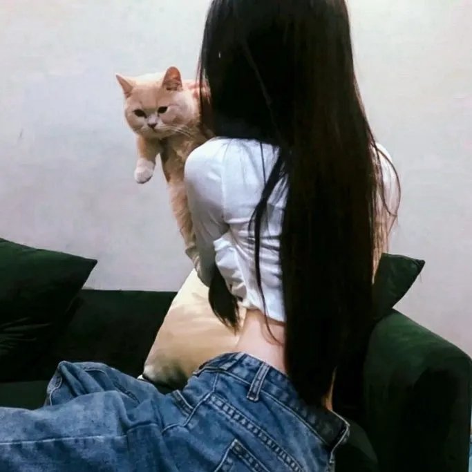 石膏绷带