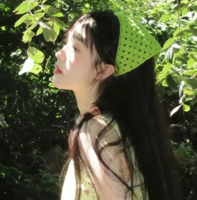 月季花开